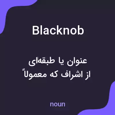 معنی blacknob به فارسی معنی blacknob به فارسی