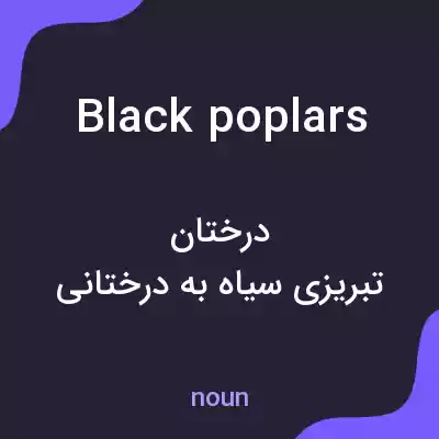 معنی black poplars به فارسی معنی black poplars به فارسی