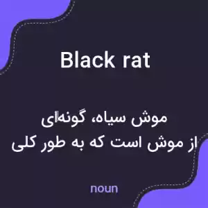 معنی black rat به فارسی معنی black rat به فارسی