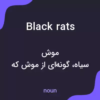 معنی black rats به فارسی معنی black rats به فارسی