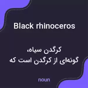 معنی black rhinoceros به فارسی معنی black rhinoceros به فارسی