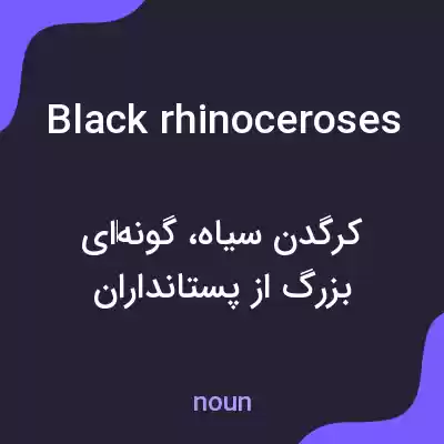 معنی black rhinoceroses به فارسی معنی black rhinoceroses به فارسی