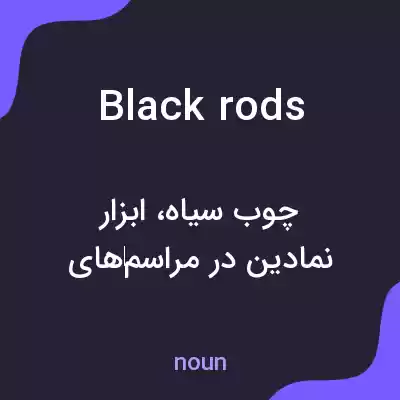 معنی black rods به فارسی معنی black rods به فارسی