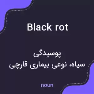 معنی black rot به فارسی