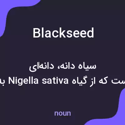 معنی blackseed به فارسی معنی blackseed به فارسی