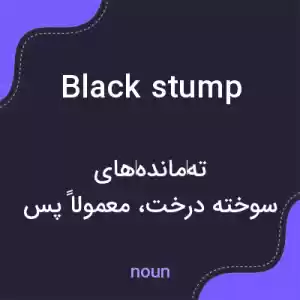 معنی black stump به فارسی معنی black stump به فارسی