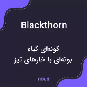 معنی blackthorn به فارسی معنی blackthorn به فارسی