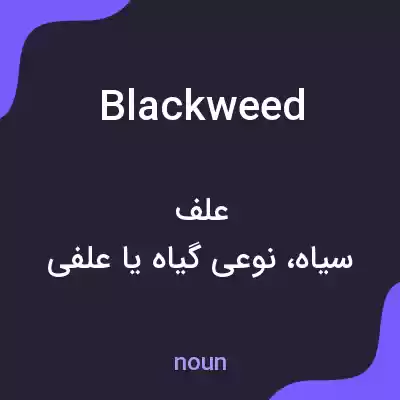 معنی blackweed به فارسی معنی blackweed به فارسی