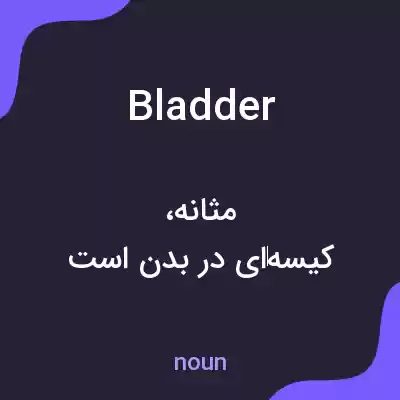 معنی bladder به فارسی