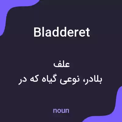 معنی bladderet به فارسی معنی bladderet به فارسی