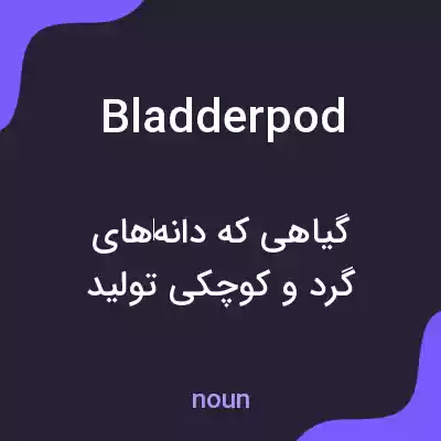 معنی bladderpod به فارسی معنی bladderpod به فارسی