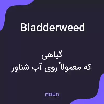معنی bladderweed به فارسی معنی bladderweed به فارسی
