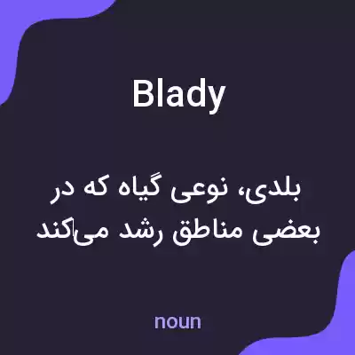 معنی blady به فارسی معنی blady به فارسی