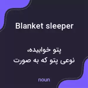 معنی blanket sleeper به فارسی معنی blanket sleeper به فارسی