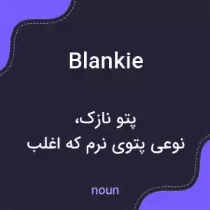 معنی blankie به فارسی معنی blankie به فارسی