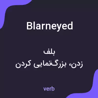 معنی blarneyed به فارسی معنی blarneyed به فارسی