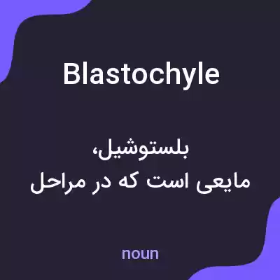 معنی blastochyle به فارسی معنی blastochyle به فارسی