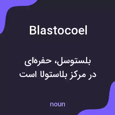 معنی blastocoel به فارسی معنی blastocoel به فارسی