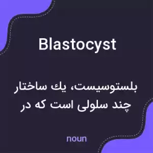 معنی blastocyst به فارسی معنی blastocyst به فارسی