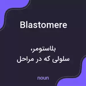 معنی blastomere به فارسی معنی blastomere به فارسی