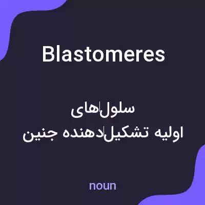 معنی blastomeres به فارسی معنی blastomeres به فارسی