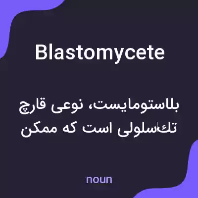 معنی blastomycete به فارسی معنی blastomycete به فارسی