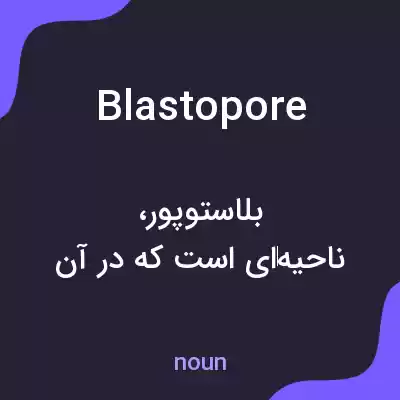 معنی blastopore به فارسی معنی blastopore به فارسی