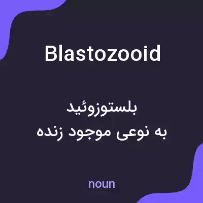 معنی blastozooid به فارسی معنی blastozooid به فارسی