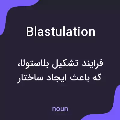 معنی blastulation به فارسی معنی blastulation به فارسی