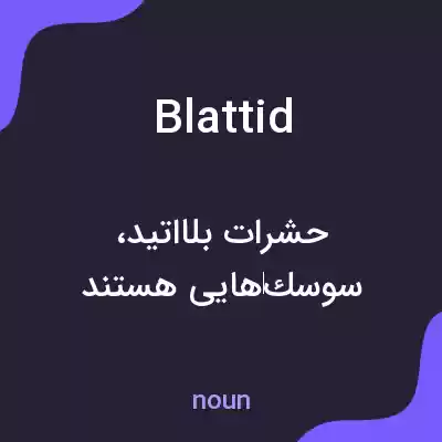 معنی blattid به فارسی معنی blattid به فارسی