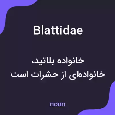 معنی blattidae به فارسی معنی blattidae به فارسی