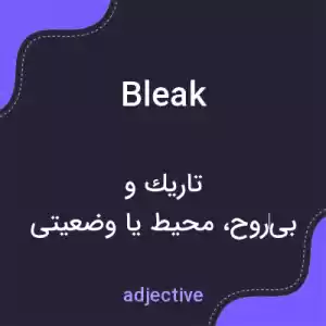 معنی bleak به فارسی معنی bleak به فارسی