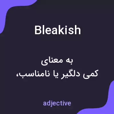 معنی bleakish به فارسی معنی bleakish به فارسی