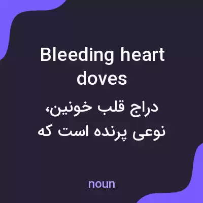 معنی bleeding heart doves به فارسی