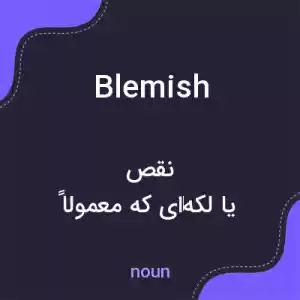 معنی blemish به فارسی معنی blemish به فارسی