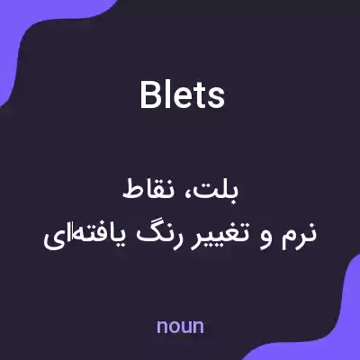 معنی blets به فارسی معنی blets به فارسی