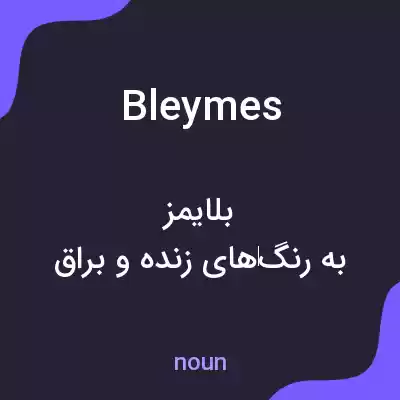معنی bleymes به فارسی معنی bleymes به فارسی