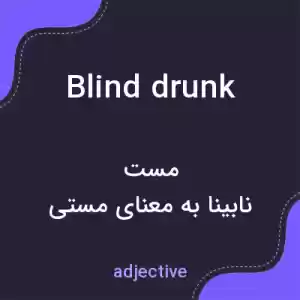 معنی blind drunk به فارسی معنی blind drunk به فارسی