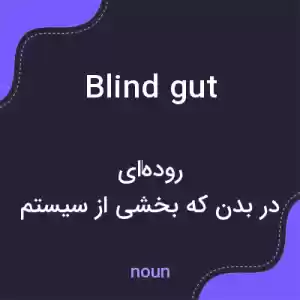 معنی blind gut به فارسی معنی blind gut به فارسی