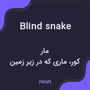 معنی blind snake به فارسی معنی blind snake به فارسی