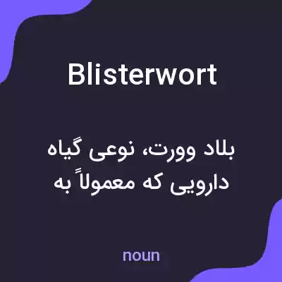 معنی blisterwort به فارسی