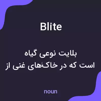 معنی blite به فارسی