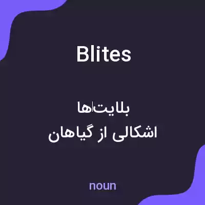 معنی blites به فارسی معنی blites به فارسی