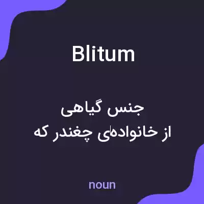 معنی blitum به فارسی معنی blitum به فارسی