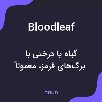 معنی bloodleaf به فارسی معنی bloodleaf به فارسی