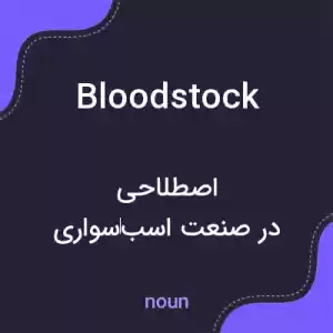 معنی bloodstock به فارسی