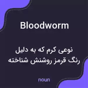 معنی bloodworm به فارسی معنی bloodworm به فارسی