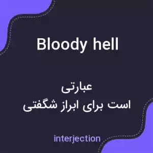 معنی bloody hell به فارسی
