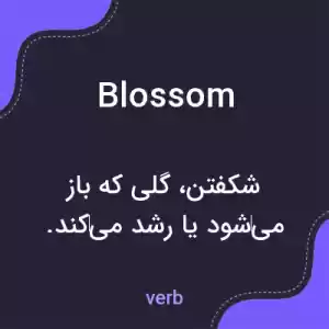 معنی blossom به فارسی معنی blossom به فارسی