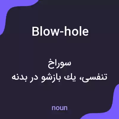 معنی blow-hole به فارسی معنی blow-hole به فارسی